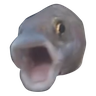 @_discord_235814838578839552:t2bot.io