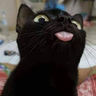 @_discord_350671429135499266:t2bot.io