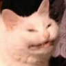 @_discord_709081957597708328:t2bot.io