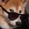 @_discord_421445715936673812:t2bot.io