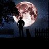 @telegram_341077611:t2bot.io