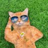 @telegram_725497709:t2bot.io