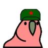 @_discord_681658888679981106:t2bot.io