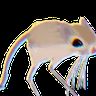 @_discord_317029794598486018:t2bot.io