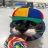 @_discord_1174354327310184472:t2bot.io