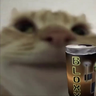 @_discord_264056962159738880:t2bot.io