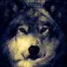 @telegram_503105712:t2bot.io