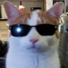 @_discord_1014246005367111781:t2bot.io