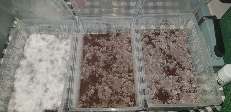 20220123_202615.jpg