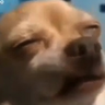 @_discord_498088092406644736:t2bot.io