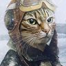 @telegram_343932872:t2bot.io