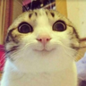 @_discord_953544053268578314:t2bot.io