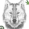 @telegram_1693809813:t2bot.io