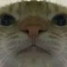 @_discord_572437199845327001:t2bot.io