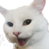 @_discord_84370803293945856:t2bot.io