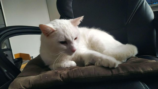 IMG_20230330_072842.jpg