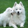 @telegram_1974957288:t2bot.io