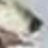 @telegram_297407852:t2bot.io