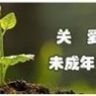 @telegram_6557859114:t2bot.io