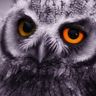 @telegram_5299657053:t2bot.io