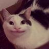 @_discord_471757476895784990:t2bot.io