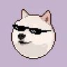@_discord_916279813734531092:t2bot.io