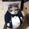 @_discord_192663324343795712:t2bot.io