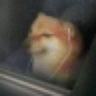 @_discord_630857610350034980:t2bot.io