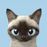 @telegram_1397481836:t2bot.io