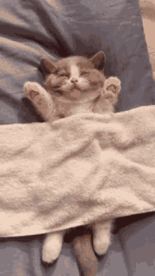 tenor_gif7624485488430088052.gif