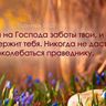 @telegram_897354784:t2bot.io