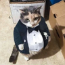 @_discord_882311209171431494:t2bot.io