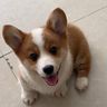 @telegram_1924326188:t2bot.io