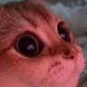 @_discord_372456601266683914:t2bot.io