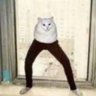 @_discord_414567966504517634:t2bot.io