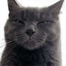 @_discord_174630614366945280:t2bot.io