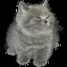 @_discord_325628370291523606:t2bot.io