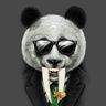 @telegram_1770227824:t2bot.io