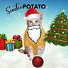@telegram_1576152544:t2bot.io
