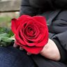 @telegram_1194775497:t2bot.io