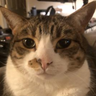 @_discord_562084815734571008:t2bot.io