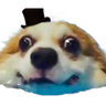 @_discord_205041517637795840:t2bot.io