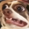 @_discord_182309553977819136:t2bot.io