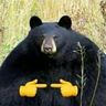 @telegram_1627157928:t2bot.io