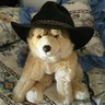 @_discord_217191631487631361:t2bot.io