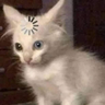 @_discord_1069298371346567258:t2bot.io