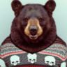 @telegram_227611097:t2bot.io