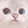 @_discord_568050392416649225:t2bot.io