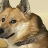 @_discord_320124006487425025:t2bot.io