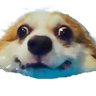 @_discord_205041517637795840:t2bot.io